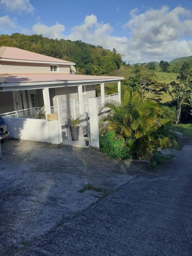 Chez Coco Appartement Balisier Riviere-Salee Exteriér fotografie